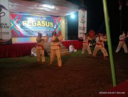 Atraksi Silat Perisai Diri SMP I Gayam mewarnai perkemahan PEGASUS