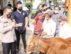 Penadah 15 Sapi Curian Asal Situbondo di Ringkus Polresta Banyuwangi