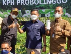 Perhutani Temukan Formula Nutrimon Percepat Pertumbuhan Jati