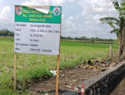Oknum PJ Kecamatan, Diduga Sunat Anggaran Proyek Drainase Desa Wirowongso