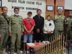 Sat Pol PP Bondowoso Melakukan Giat Penertiban Pengamen di lampu merah di Wilayah Kabupaten Bondowoso