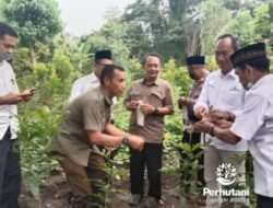 Perhutani KPH Probolinggo Lakukan Pembaruan Budidaya Lak di Cabang Pohon Kesambi