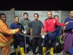 Sering Kagetkan Warga Perumahan, Indukan kobra diamankan
