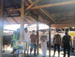 Kadis Peternakan dan Perikanan Situbondo : Hasil Pemeriksaan Dokter Hewan, Kambing Mati Mendadak di Kilensari Panarukan Bukan PMK Tapi Karena Salah Memberi Pakan