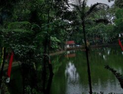 Suhu dingin “Bediding” Melanda Kota Banyuwangi