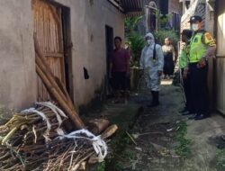Antisipasi Wabah PMK, Polres Batu Lakukan Aksi ‘Keroyokan’ Penyemprotan Disinfektan