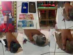 Polres Bondowoso Berhasilkan Amankan Judi Balap Merpati