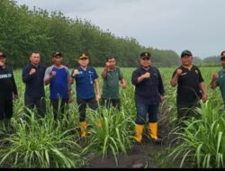 Begini Tanggapan ADM Perhutani Jombang Terkait Demo Penolakan Penanaman Tebu di Lamongan
