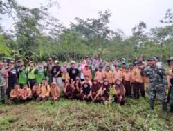Perhutani Probolinggo Tanam Bibit Pohon di Sekitar Gunung Puji
