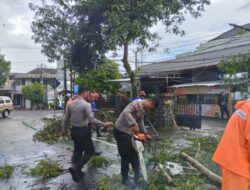 Sigap, Polisi Tangani Pohon Tumbang di Jagalan, Lalulintas Trenggalek – Ponorogo Kembali Normal