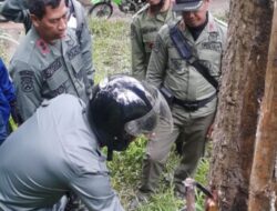 Administratur Perhutani Lawu Ds, Dampingi Bupati Belajar Teknis Sadapan Getah Pinus di Ponorogo