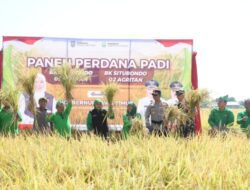 Bung Karna: Padi BK 01 Dan 02 Agritan Icon Kabupaten Situbondo Untuk Indonesia