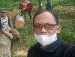 Kayu Jati Masih Menjadi Andalan Mendongkrak Pendapatan Perum Perhutani