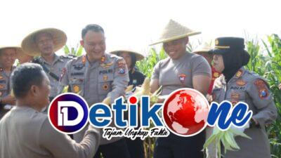 Dukung Ketahanan Pangan, Polres Blitar Panen Jagung di Lahan Tidur