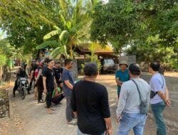 Gerebek Sabung Ayam, Polisi  Tangkap 2 Tersangka dan Sita Uang Puluhan Juta