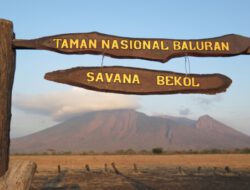 Mengenal Keunikan Taman Nasional Baluran yang Menakjubkan!