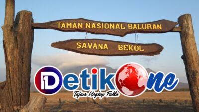 Taman Nasional Baluran