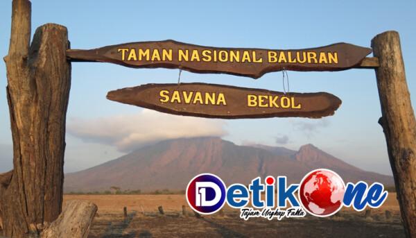 Taman Nasional Baluran