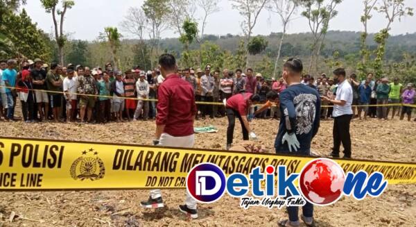 Sekdes Sidonganti