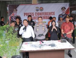 Polres Jember Berhasil Ungkap Tanaman Ganja di Rumah Warga, Bupati Berikan Apresiasi 