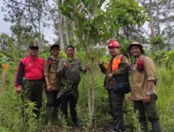 Keberhasilan Tanaman Rehabilitasi Hutan Lindung di Bondowoso Menuju Kesejahteraan Masyarakat