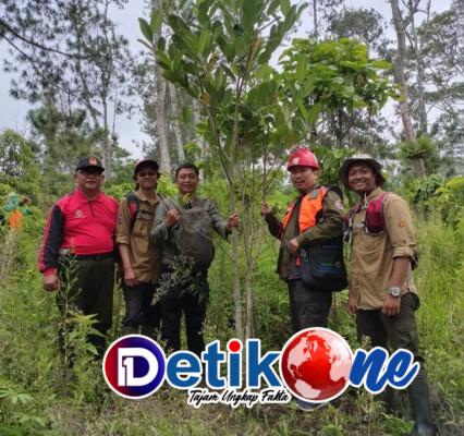 Hutan Lindung