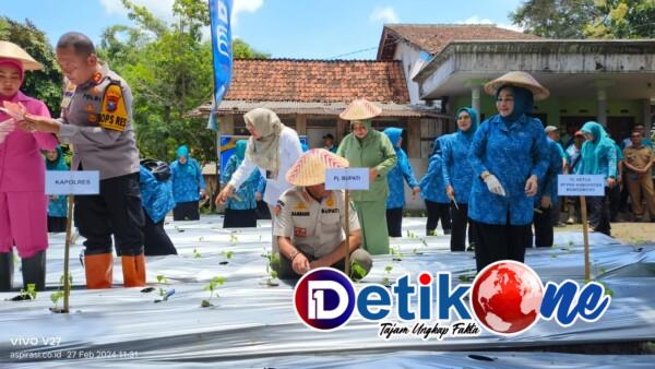Beras Organik