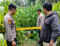 Penemuan Sesosok Mayat Mengguncang Warga Desa Botolinggo