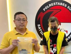 Polrestabes Surabaya Berhasil Tangkap Seorang Pengedar Narkoba