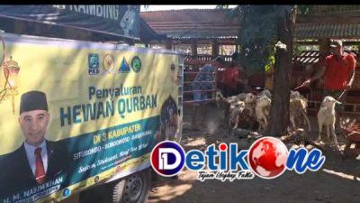 Puluhan Kambing