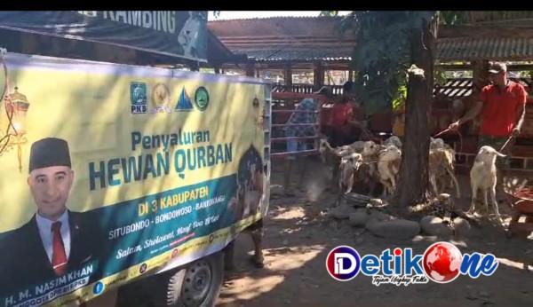 Puluhan Kambing