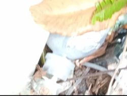 Tidak Dikelola Dengan Baik, Limbah Medis B3 Puskesmas Rawat Inap Bokat Sengaja Di Buang Dalam Perkebunan Kelapa Milik Warga