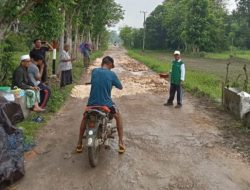 Gotong Royong Masyarakat Perbaiki Jalan Kabupaten di Desa Karang Tengah