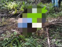 Mayat Serla A. Pangeran Ditemukan di Area Perkebunan Sawit PT. HIP