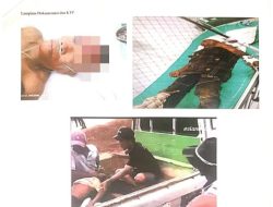 Hendak Ambil Pakan Ternak, Warga Kalowang Terjatuh dari Pohon