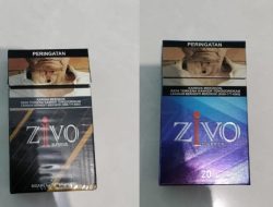 Diduga Kades Pemilik Rokok Bodong Merek Zivo Kebal Hukum, Bea Cukai Terkesan Hanya Duduk Manis