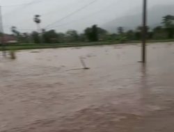 Hujan Deras, Banjir Rendam Desa Trebungan, Kecamatan Mlandingan