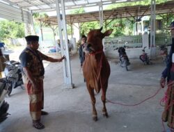 LSM Siti Jenar Luruskan Isu Dugaan Penyalahgunaan Dana Desa di Benbaru