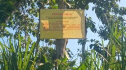 Kuasa Hukum Pasang Banner, Tanah Warisan 50 Hektare di Kalipare Disengketakan