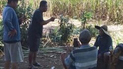 Diduga Intimidasi Jurnalis dan Penganiayaan Warga, Kuasa Hukum Laporkan Kasus ke Polres Malang