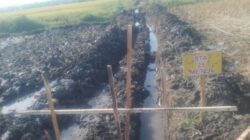 Diduga Abaikan Standar Pekerjaan, Proyek P3-TGAI di Desa Battal Disorot LSM Teropong