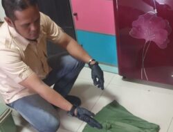 Polresta Sumenep Amankan Pria 22 Tahun dalam Kasus Dugaan Pencabulan di Batuputih